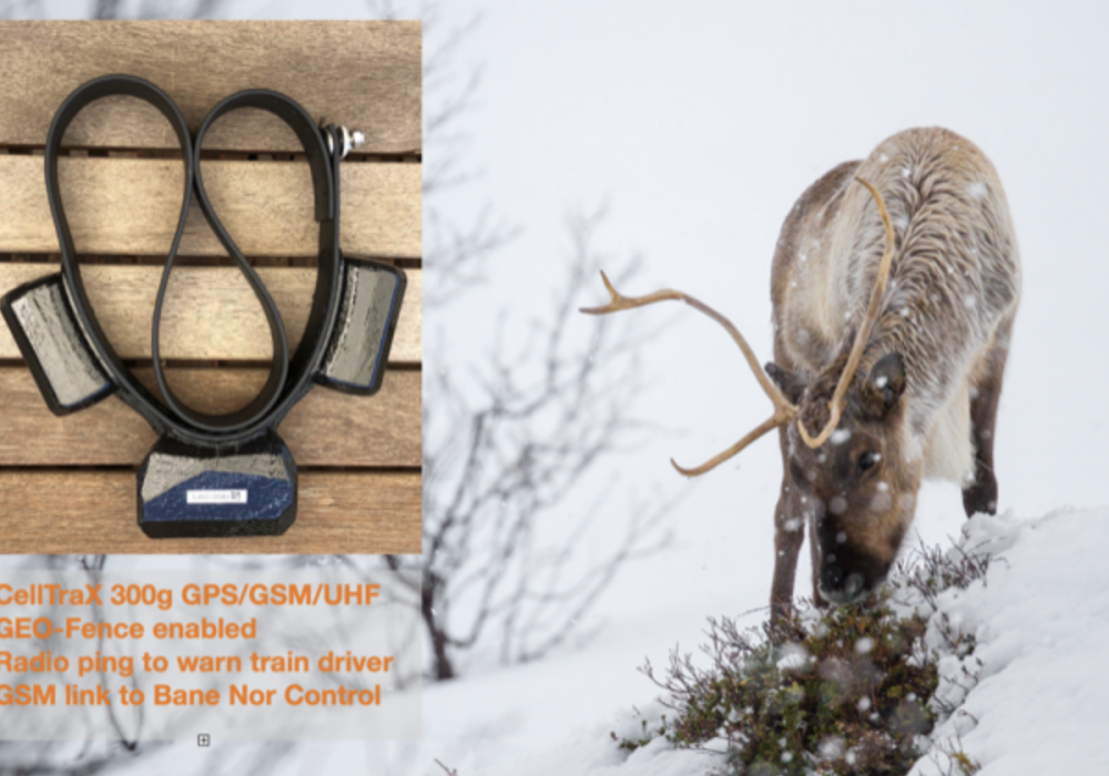 GPS and Radio Tracking